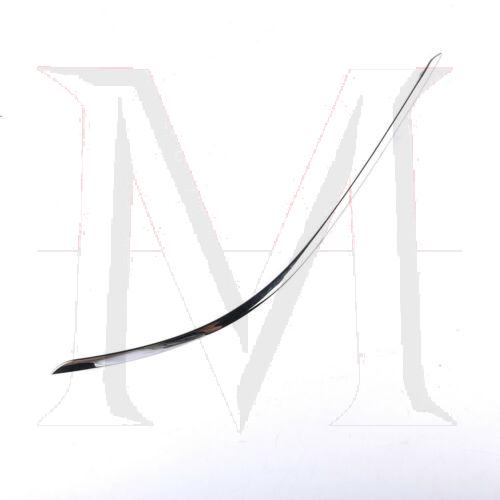 CHROME FENDER MOLDING