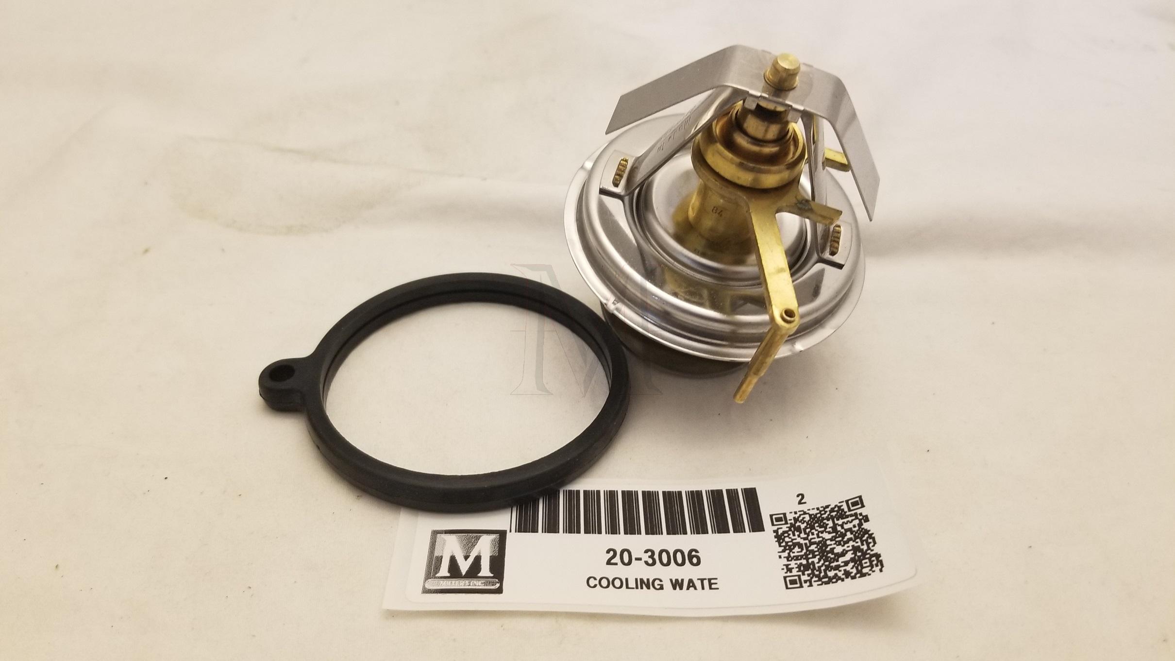 THERMOSTAT W/ SEAL